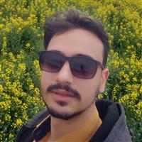 mahmood137777