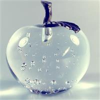 MoJTABA2020MY