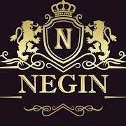 negin202073