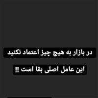 dariush288